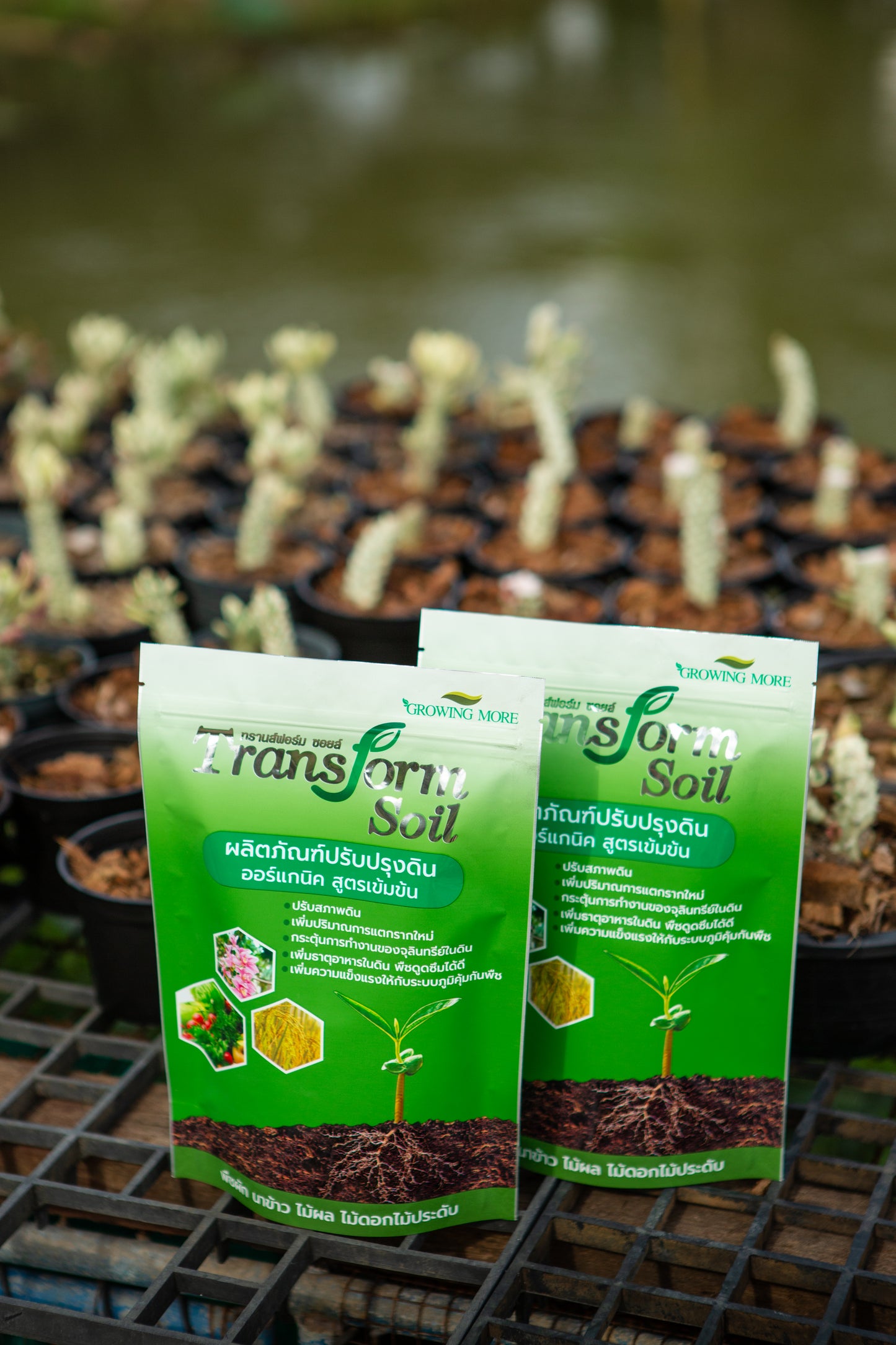 Transform Soil – Premium Organic Soil Enhancer (1 kg)